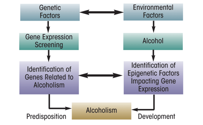 Genetic factors, gene expression screening, identification of genes related to alcoholism, alcoholism; Environmental factors, alcohol, identification of epigenetic factors impacting gene expression